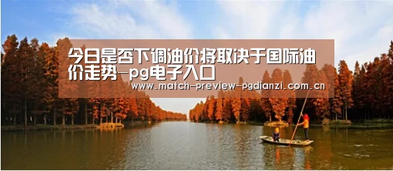 今日是否下调油价将取决于国际油价走势-pg电子入口(图2) pg免费模拟器